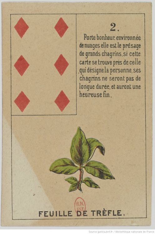 2. Il Quadrifoglio : Fortuna, Opportunità