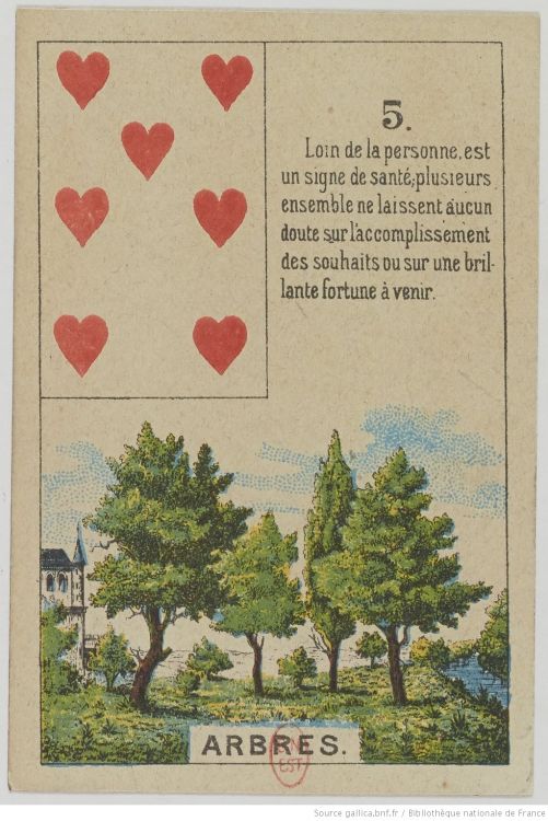 5. L'Albero : Pazienza, Energia, Crescita, Trasmissione