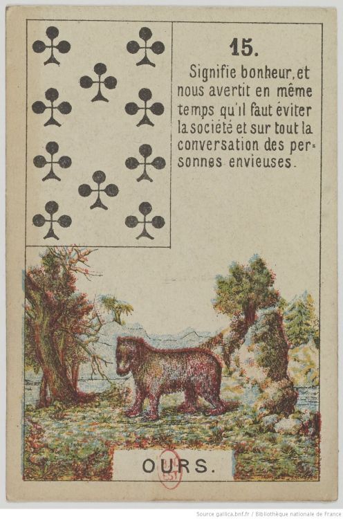 15. L'Orso : Forza, Coraggio, Selvaggio, Solitudine, Letargo
