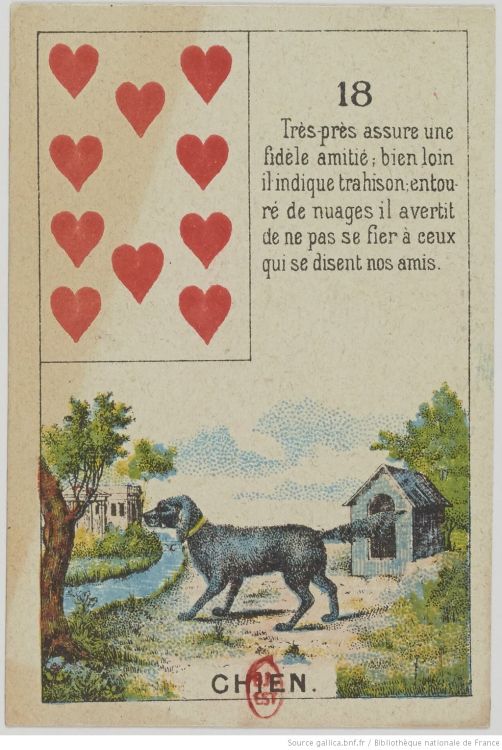 18. Il Cane : Amicizia, Fedeltà, Lealtà, Fiducia