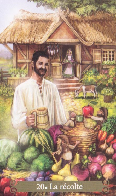 20 - Harvest