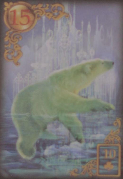 15 - Orso