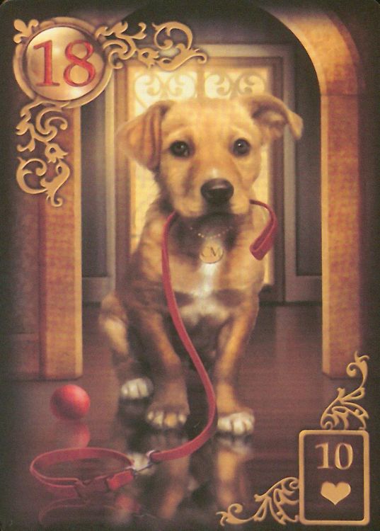 18 - Cane