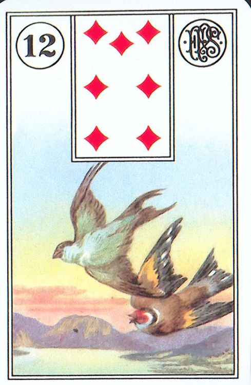 12 - Gli Uccelli