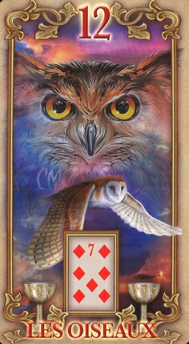 12 - Gli Uccelli