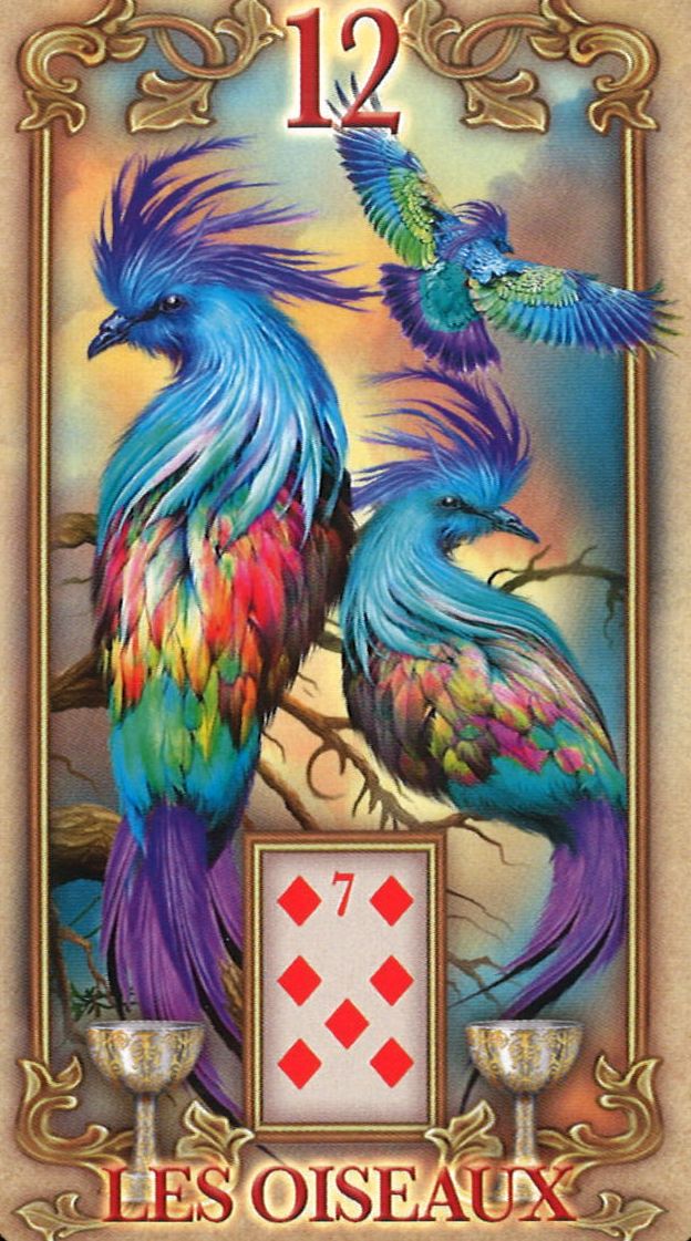 12 - Gli Uccelli