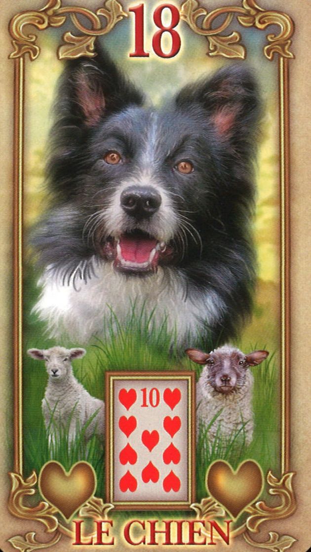 18 - Il Cane